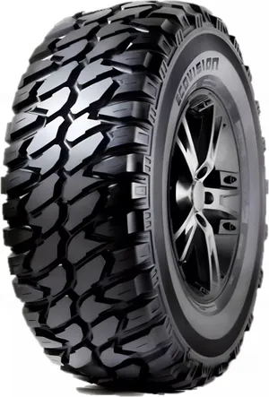 Ovation Tyres Ecovision VI-186MT
