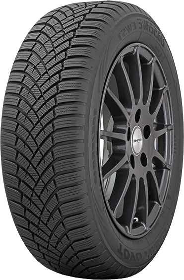 Toyo Observe EWS1