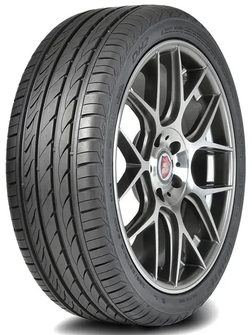 Delinte DH2
