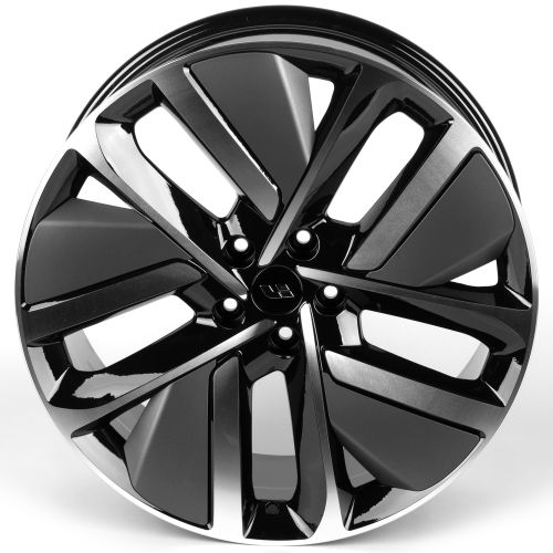 Zixi Li 3164